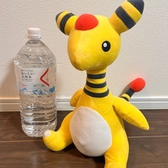 ぬいぐるみ　ポケモン