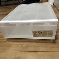 【幅44奥行55高さ18】無印衣装ケース 小