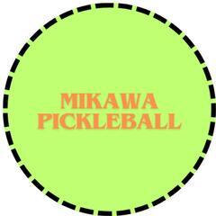 三河ピックルボールでピックルボールやりましょう！