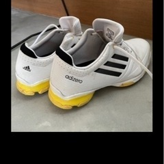 TayloyMadeキャリーバッグとマーベラス  初級者11本セット　の画像