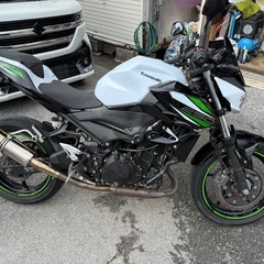 Z250