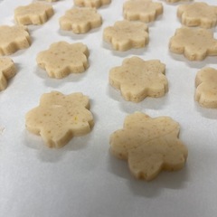 自然農法、米粉のクッキー教室 - 八王子市