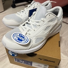 MIZUNO  マキシマイザー
   