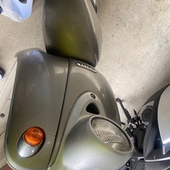 ヤマハビノの画像