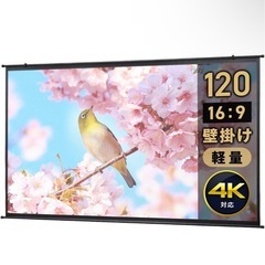 プロジェクター スクリーン 120インチ  イーサプライ