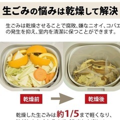 島産業　パリパリキューの画像
