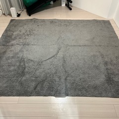 ニトリ　ラグ　グレーの画像