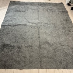 ニトリ　ラグ　グレーの画像