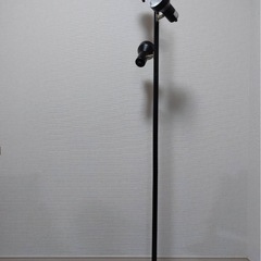 3点セット本棚(未使用)、照明、スチーマー(未使用)の画像