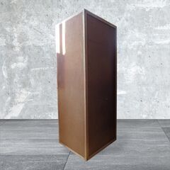 ◆大型ガラスケース◆人体模型ケース◆の画像