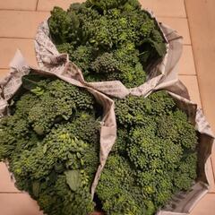 ブロッコリー🥦