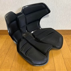 スタイルアスリート2 Style Athlete Ⅱ YS-AH03Aの画像
