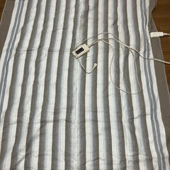 電気毛布の画像