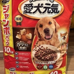 犬の餌、愛犬元気