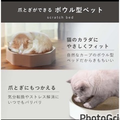 猫用爪研ぎ容器 miaow 新品 PP製スクラッチベッドの画像