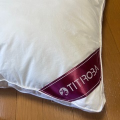 取引中★チチロバ まくらの画像