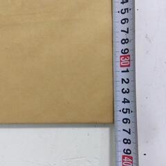 TOTO 化粧鏡 TS119ASR3 の画像