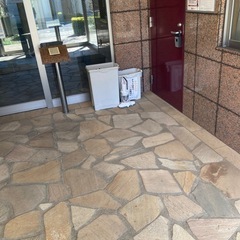 アイリスオーヤマ　布団　掃除機の画像