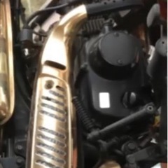 ゴールドモンキー未使用デッドストック0キロの画像