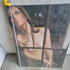 パネルの画像