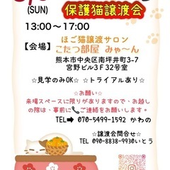 🐱🍊こたつdeふれあい保護猫譲渡会🐱🌸3/9