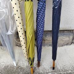 傘いろいろの画像