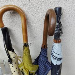 傘いろいろの画像