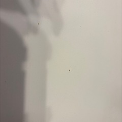引き渡し日注意　IKEA エーケダーレンの画像