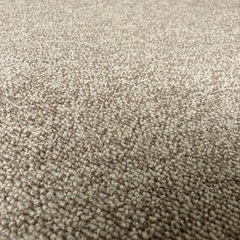 【差し上げます】カーペットの画像