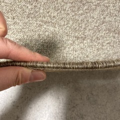 【差し上げます】カーペットの画像