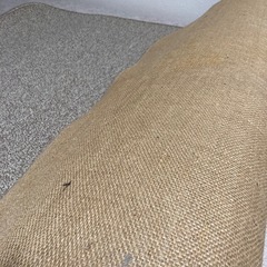 【差し上げます】カーペットの画像