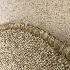 【差し上げます】カーペットの画像