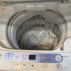 全国送料無料！分解清掃済！ヤマダ電機 洗濯機 YWM-T50G1 美原店 ヤマダ電機 洗濯機 YWM-T50G1 5kg 分解清掃済み YAMADA SELECT