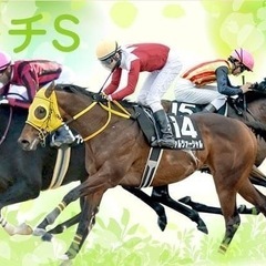 競馬観戦！マーチS中山競馬場3月30日🏇競馬仲間募集です♪