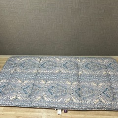 ロイヤルダウンウール固わた入り敷ふとん（バランスタイプ）2枚セットの画像