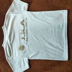 国際日本空手協会夏用練習Ｔシャツの画像