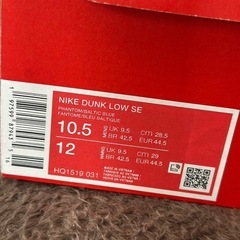 正規店購入新品未使用品！ナイキ ダンクロー HQ1519 03 サイズ28.5の画像