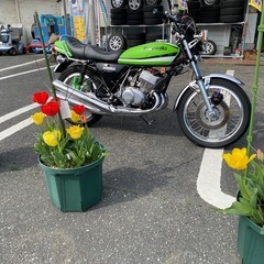 🏍旧車バイク kawasaki KH400 【マッハ系 KH250/350SS/KH400 ･車両＆パーツ高価買取アールワン田川】の画像