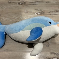 イルカ🐬のぬいぐるみの画像