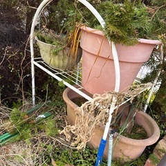 植木鉢の画像