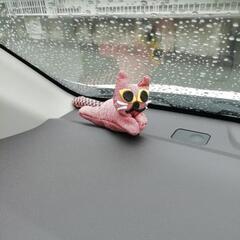 光の森でぶらぶら