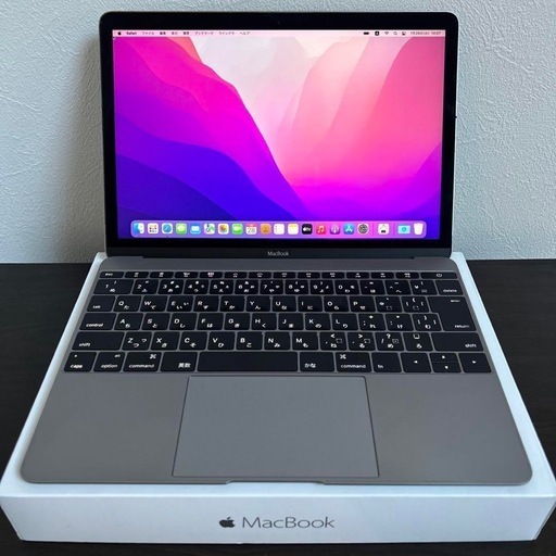 MacBook Early 2016 12インチ  SSD 251