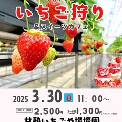 3月30日開催❗️【 グルメン部 】いちご狩りイベント🍓