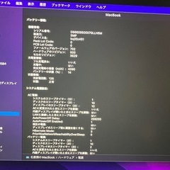 MacBook Early 2016 12インチ  SSD 251の画像