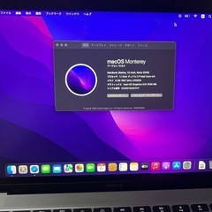 MacBook Early 2016 12インチ  SSD 251の画像