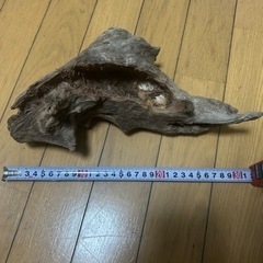 流木プランターの画像