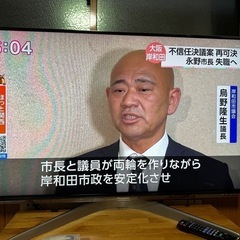 Panasonic テレビ　TH-L47WTS