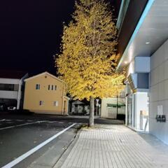 carチームメンバー急募