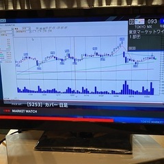 24インチDVDプレーヤー内蔵地デジテレビ