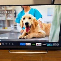 東芝 REGZA 50インチ 4K液晶テレビ 50M500X 2016年製の画像